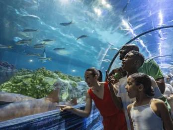 A family in a aquarium tunnel pointing at the fish