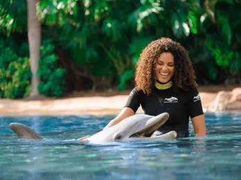 Swim with Dolphins A woman in a pool stroking a dolphin