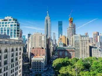 Skyscrapers in New York lined with trees.
