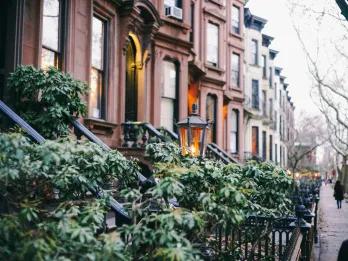 Rows of houses with plants down the fences and lamp posts outside.