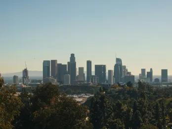 Group of skyscrapers in the background standing tall over the trees in front.