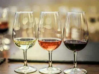 Explore Tamborine Tour Gold Coast Departure