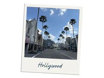 Hollywood A polaroid of a street lined with palm trees