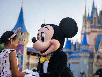 Mickey Mouse Degree 