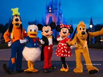 Characters at Cinderella Castle