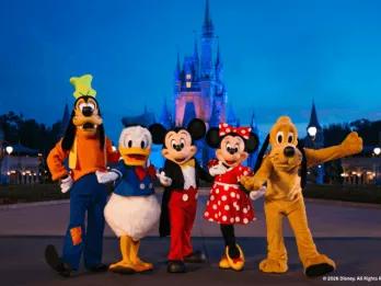 Characters at Cinderella Castle