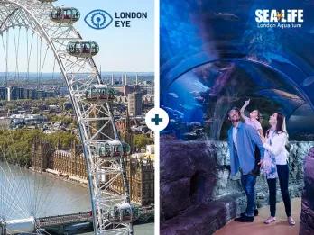 LondonEye Sealife