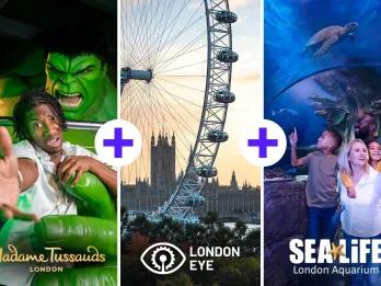 Madame T London Eye Sea Life