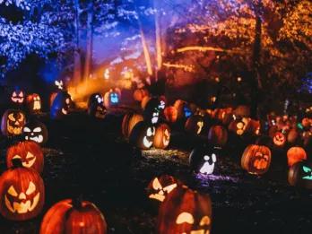 Dozens of carved, glowing jack-o'-lanterns illuminated on a hillside at night