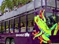 Guided Bus Tour - San Diego Zoo Guided Bus Tour - San Diego Zoo