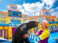 Sea Lion High: The New Class® Sea Lion High: The New Class®