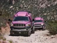 Red Rock Canyon Classic 4x4 Tour Red Rock Canyon Classic 4x4 Tour