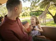 Disney's Animal Kingdom Theme Park