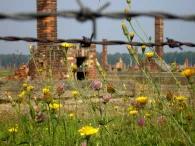 Auschwitz-Birkenau Memorial and Museum Tour Auschwitz-Birkenau Memorial and Museum Tour