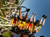 Montu® Montu®