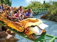 Cheetah Hunt® Cheetah Hunt®