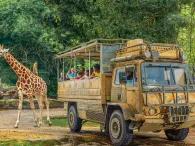 Zufari - Ride into Africa Zufari - Ride into Africa