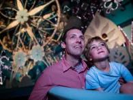 It’s a small world It’s a small world