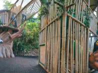 Kinderlandia Kinderlandia