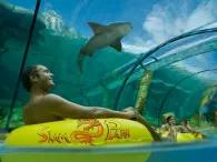 Mai Thai River & Crazy River & Downshute Mai Thai River & Crazy River & Downshute