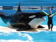 Miami Seaquarium with Transport Miami Seaquarium with Transport