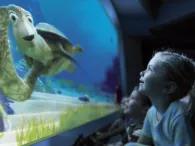 Turtle Talk with Crush Turtle Talk with Crush