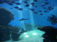 Palma Aquarium Palma Aquarium