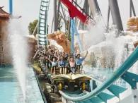 Shambhala Shambhala