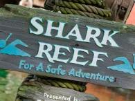 Shark Reef Shark Reef