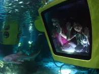 Submarine Adventure Submarine Adventure