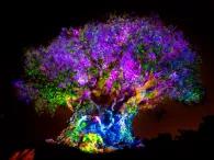 The Tree of Life