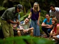 Cape Tribulation & Daintree Adventure from Port Douglas Cape Tribulation & Daintree Adventure from Port Douglas