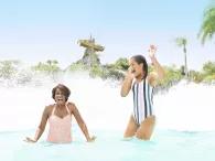 Disney's Typhoon Lagoon Water Park Disney's Typhoon Lagoon Water Park