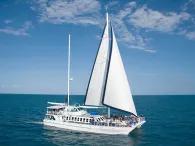 Wavedancer Low Isles Reef Cruise from Cairns Wavedancer Low Isles Reef Cruise from Cairns