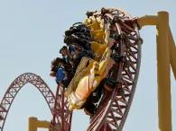 The Velociraptor at IMG World of Adventures