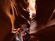 antelope1
