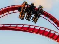 SheiKra at Busch Gardens