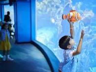 The Seas with Nemo and Friends at Epcot