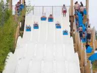 aa
