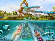 Reef Plunge at Aquatica Orlando