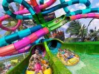 Riptide Race at Aquatica Orlando