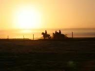 Golden Circle and Horse Riding