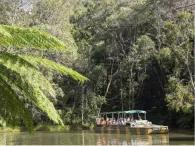 Classic Kuranda Classic Kuranda