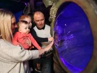SEA LIFE Blackpool Aquarium