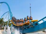 Guests riding Pipeline: The Surf Coaster at SeaWorld Orlando