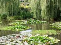 beautiful-pond-in-giverny