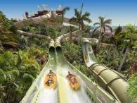 siam-park-saifa-ride