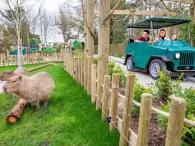 jungle-rangers-at-chessington