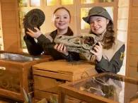 dinosaur-fossils
