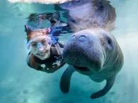 woman-snorkelling-with-manatee
